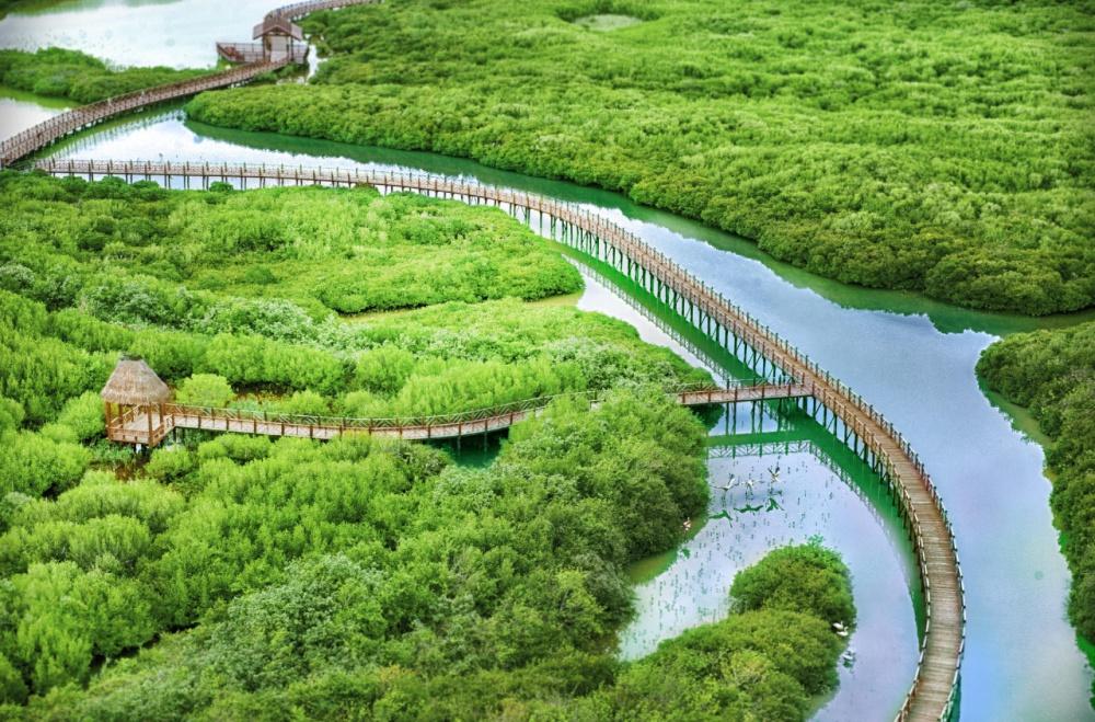 这个城市竟拥有如此多的荣誉和美景  第2张