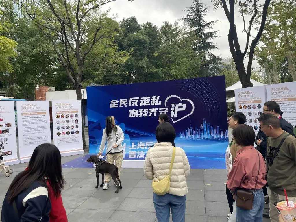 全民反走私，你我齐守‘沪’！这些行为千万不能做  第1张