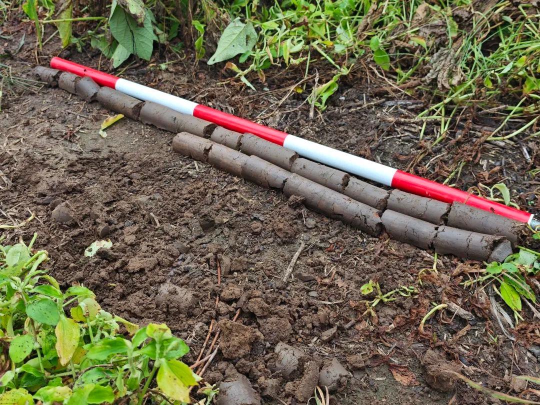 临朐文物普查：争分夺秒，探寻历史的脚步从未停歇  第2张