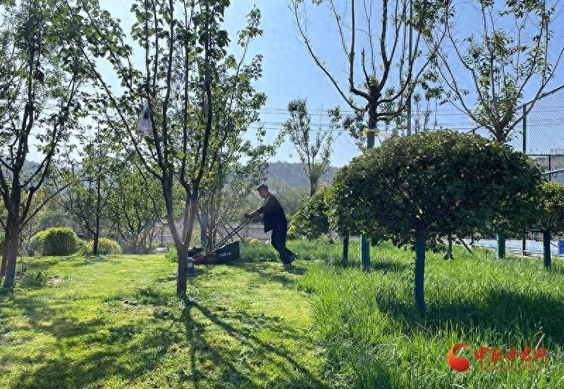 甘肃静宁：生态底色愈发亮丽，三北防护林建设成果斐然  第1张