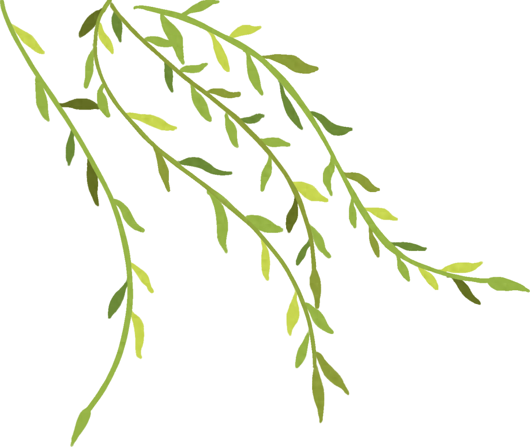2024 梧州六堡茶文化节：茶人茶企齐聚，共襄茶界盛举  第1张