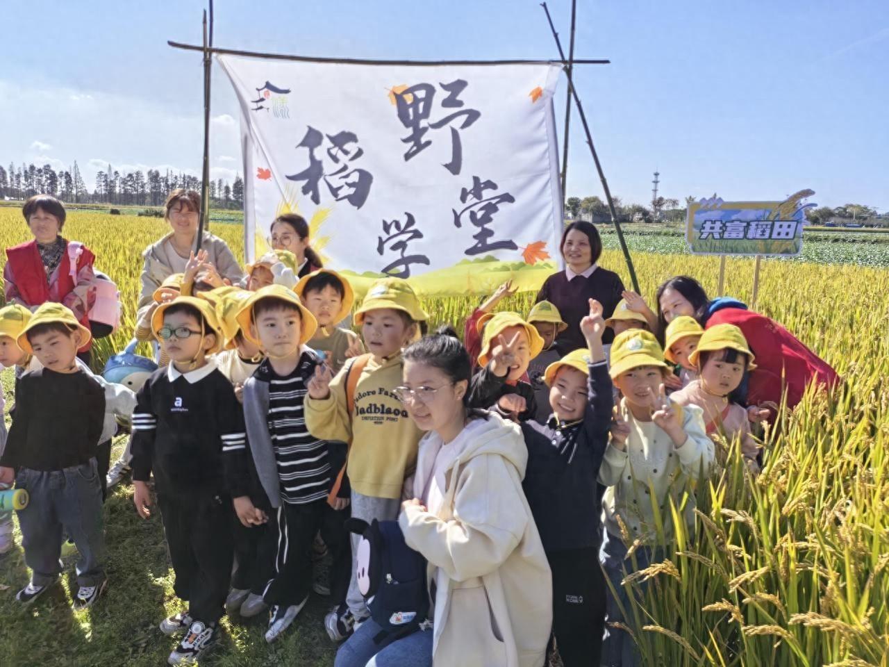 落叶续写诚信之歌，沈荡镇白洋村活动让孩子走进自然，感悟诚信