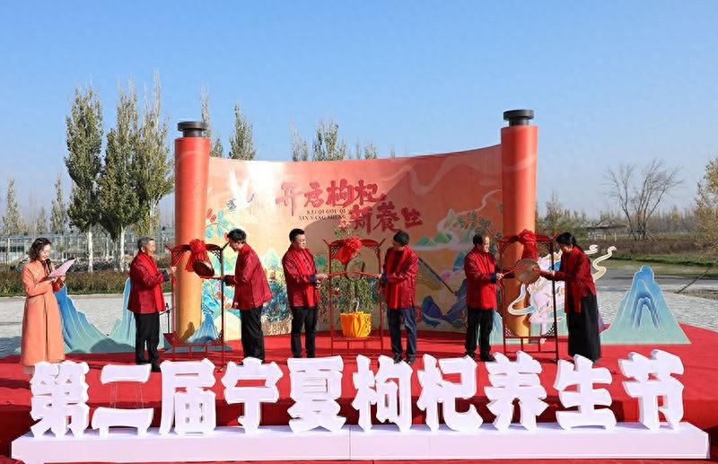 第二届宁夏枸杞养生节盛大启幕，专家齐聚共话养生之道