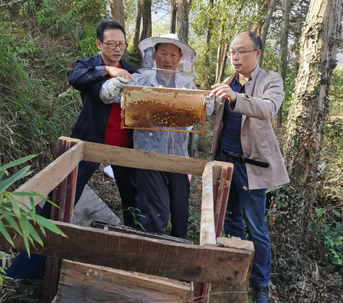 省市场监管局驻洪下村工作队：轮换后，他们如何改变村民生活？  第2张