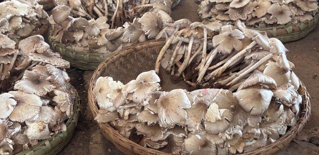 开屏热搜放大镜：5 分钟带你深挖昆滇热点背后的故事  第5张