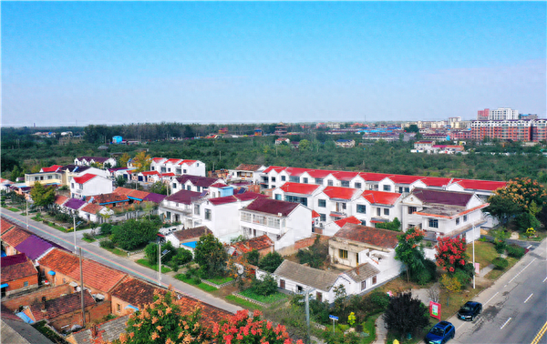 泗阳县：政府引导，群众主导，共建宜居宜业和美乡村