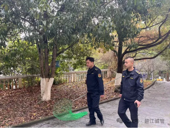 2024 年碧江区城管局开展不文明养犬专项整治行动，你还在不文明养犬吗？  第4张