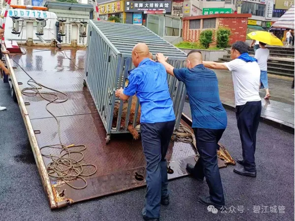 2024 年碧江区城管局开展不文明养犬专项整治行动，你还在不文明养犬吗？  第6张