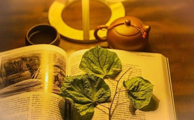 立冬：补嘴空还是补心灵？热汤熟肉能否慰藉世间冷暖？  第4张