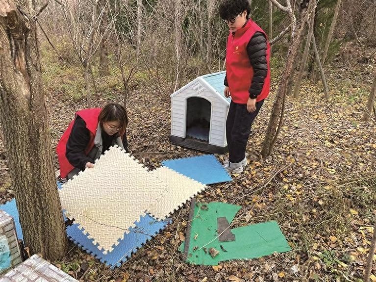 流浪猫也有家！高新区社区独特喵技解决居民矛盾，四步走策略引热议  第1张