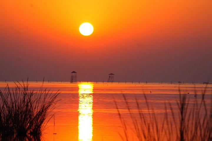 从乡村马夫到奥运骑士：河北小伙的逆袭之路，你敢相信吗？  第6张