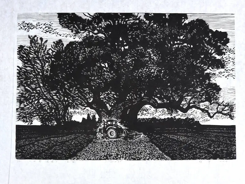 揭秘上海版画沙龙：16位艺术家50件作品，展现海派版画的独特魅力  第11张