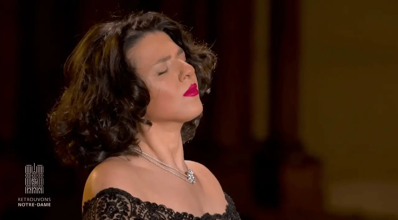 巴黎圣母院浴火重生：五年修缮，一场音乐会见证历史与希望的交响  第3张