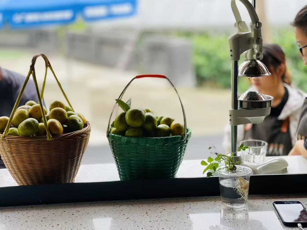 从村BA到村K：浙江乡村IP崛起，揭秘背后的文化脉动与幸福生活  第3张