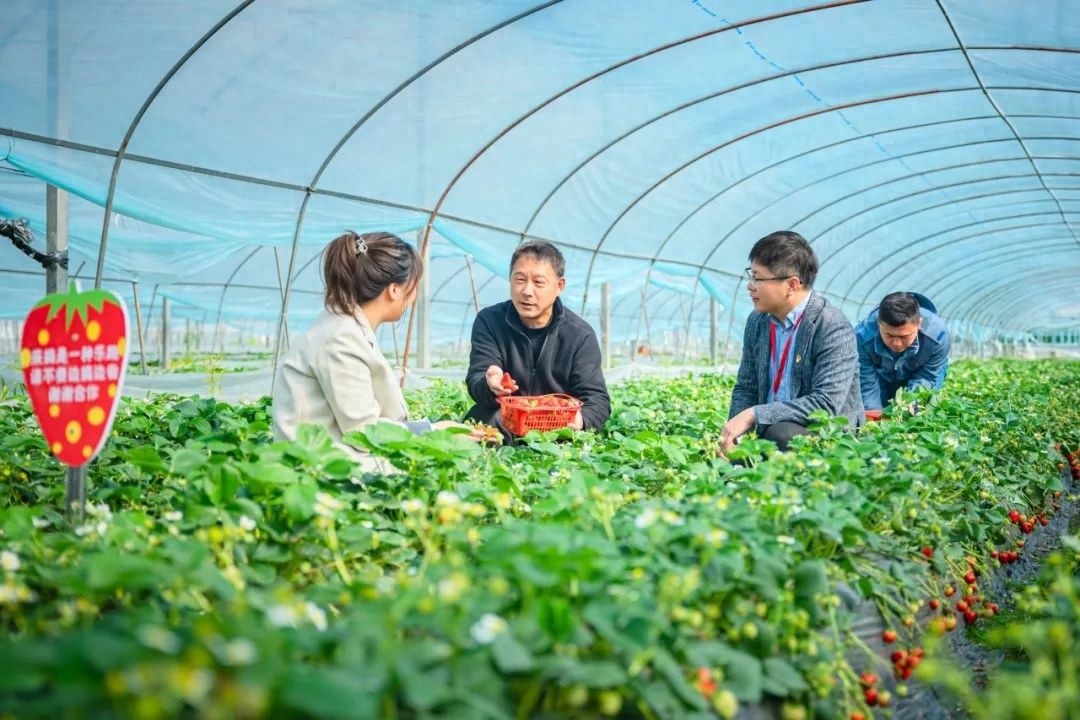聚焦乡村振兴，纪检监察干部深入田间地头，解决百姓急难愁盼  第1张