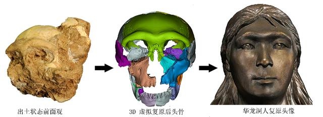 华龙洞揭秘：东亚人从这里走来，现代人演化的最早古人类证据曝光  第3张