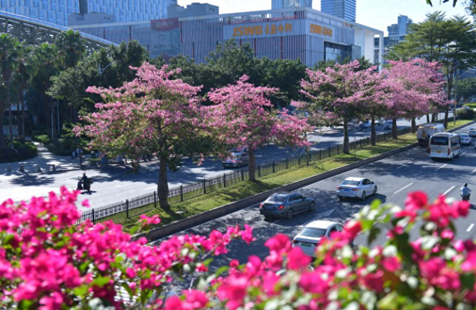 广州气温跌破20℃，早晚寒凉来袭！9日早晨最低仅7℃，白天回暖，新冷空气11日再袭  第1张