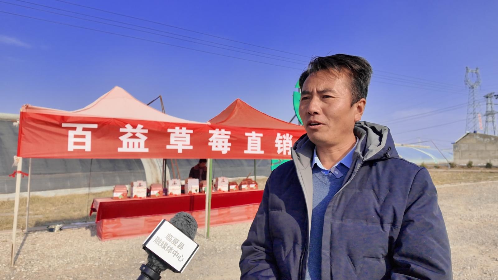 冬季里的春意盎然：临夏县百益草莓抢鲜上市，游客慕名而来体验采摘乐趣  第4张