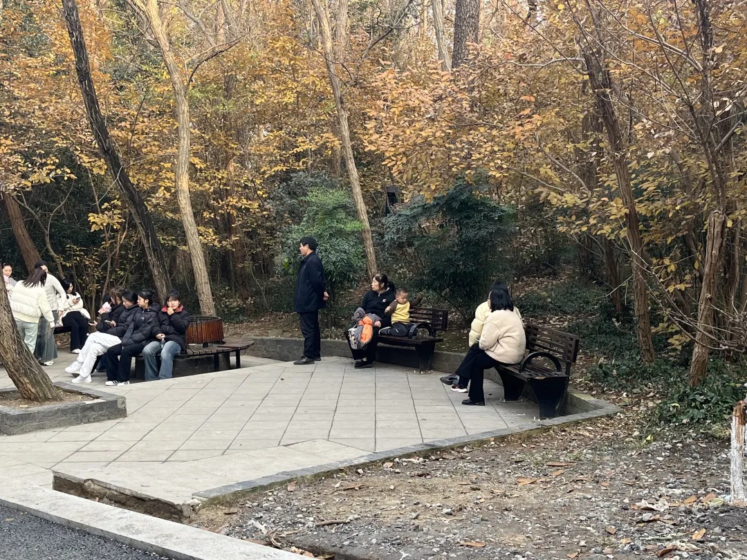 大蜀山国家森林公园华丽归来，全新面貌引爆市民爬山热潮  第2张