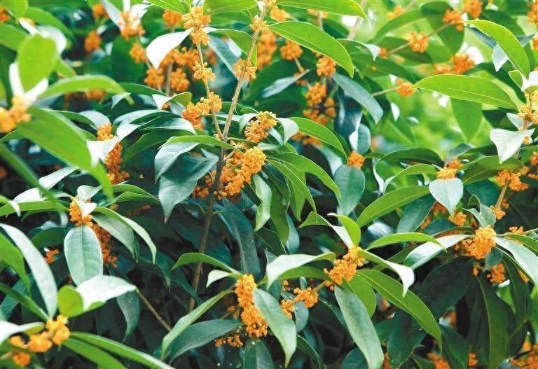 西安 145 天加长版夏日终于结束，你家的电费还好吗？  第1张