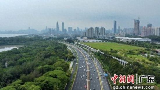 全球首个国际红树林中心落户深圳，背后的意义你知道吗？  第1张