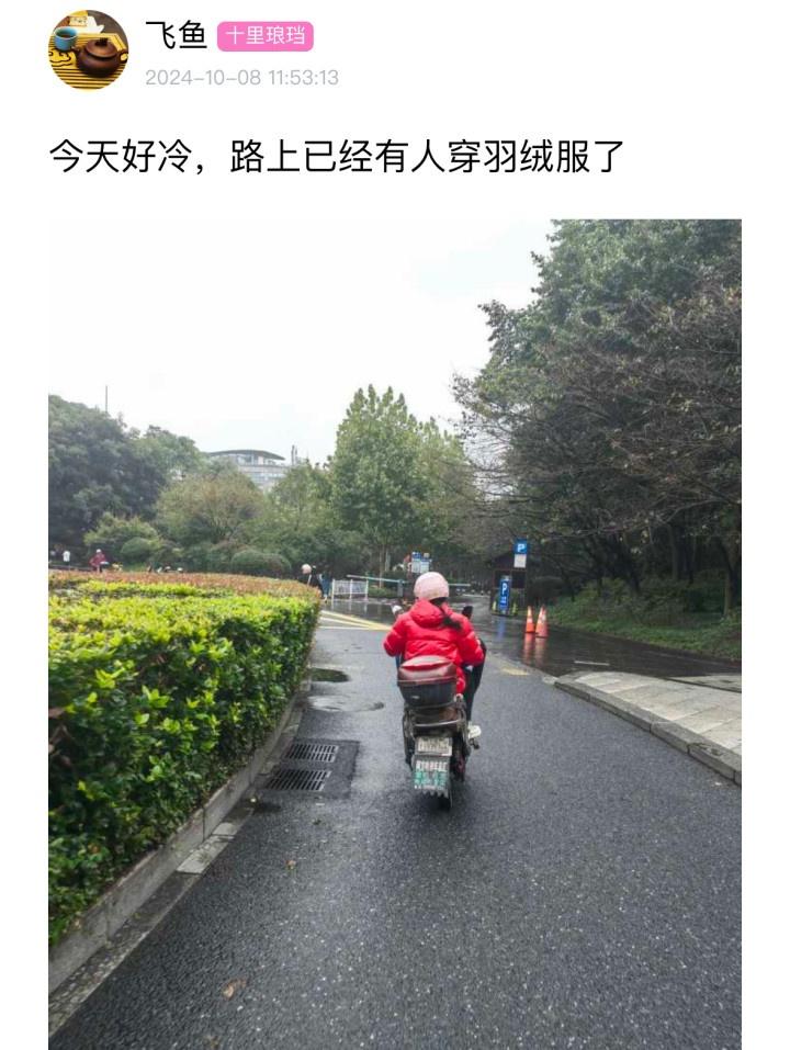 国庆后上班第二天，秋雨暂歇，气温舒适宜人，你准备好迎接秋高气爽了吗？  第3张