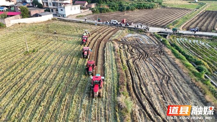 18 万亩！道县全力推进秋冬油菜生产，你准备好了吗？  第3张