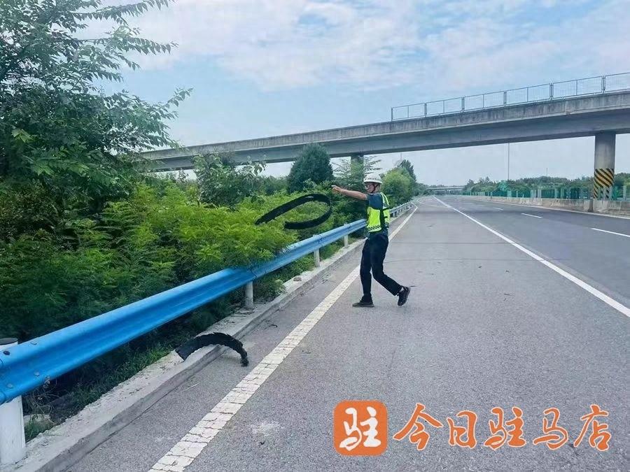 国庆假期平正高速服务车辆超 13 万辆，五到位服务保通保畅  第1张