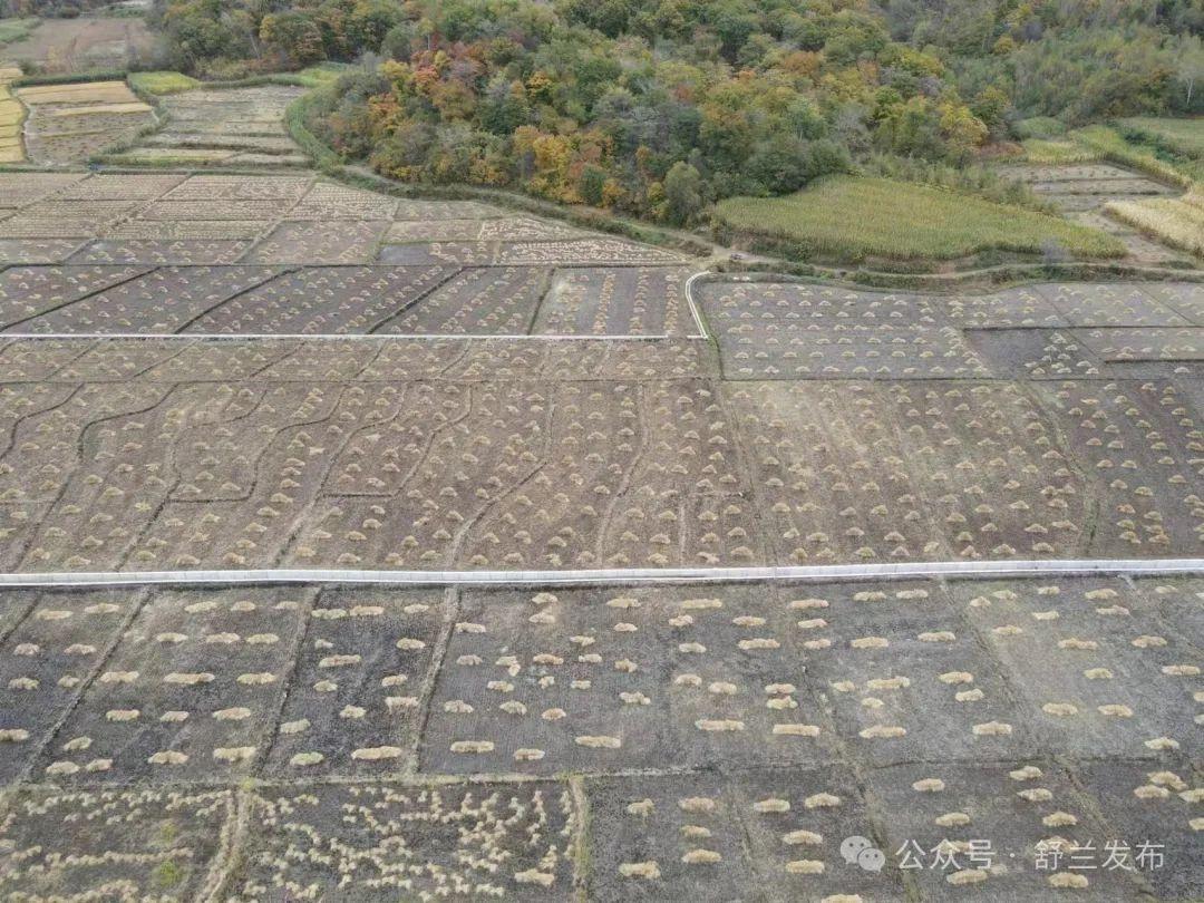 舒兰市引进数字化管理平台，为农业高质量发展插上翅膀  第4张
