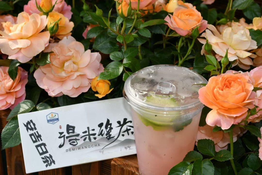 奶茶新宠！得米望茶，安吉白茶与稻米米珍的完美融合  第2张