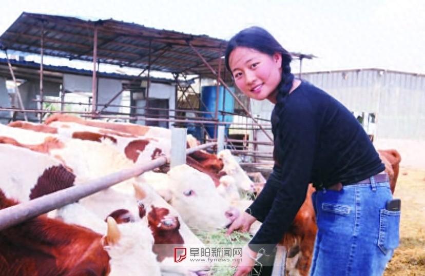 00 后女孩回乡创业，从 15 头牛到 70 多头，她是怎么做到的？  第1张