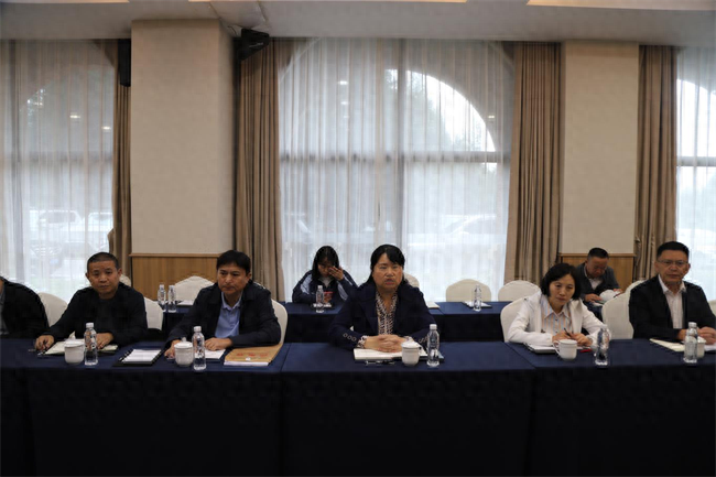 2024 四川省文旅大会为何花落雅安？海子山森林康养项目告诉你答案