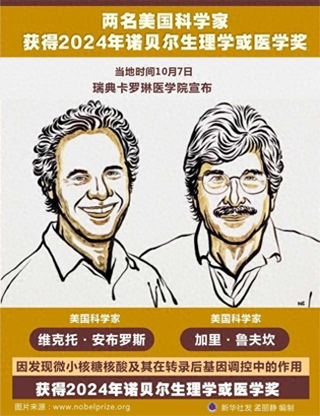2024 年诺奖揭晓！微小核糖核酸或为癌症治疗带来新希望