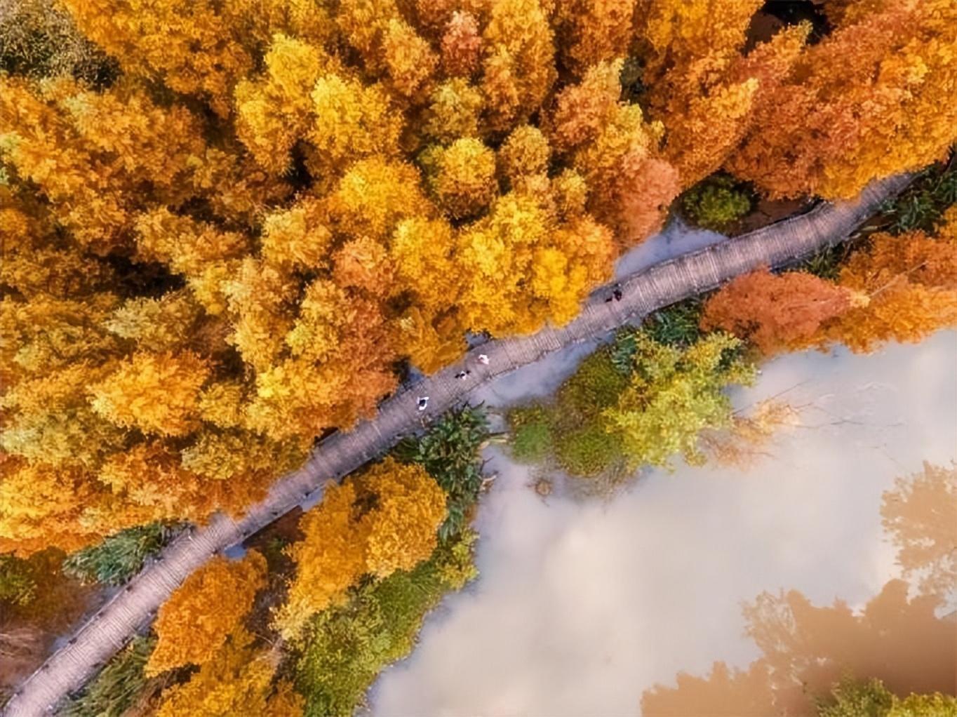 万水千山皆是情，陆游笔下的蜀州究竟有何魅力？  第3张