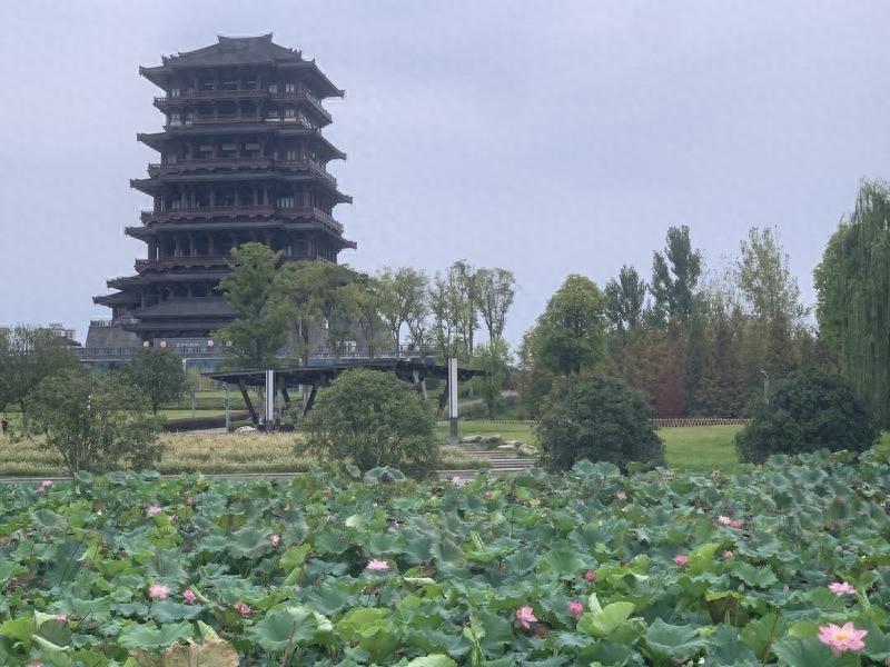 汉中四部门联合开展 2024 利剑治污专项行动，严惩各类环境违法犯罪行为