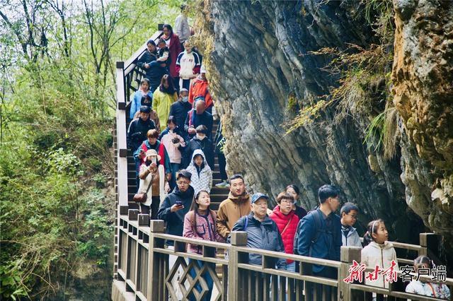 国庆假期陇南旅游火爆，接待游客 262.54 万人次，你贡献了多少？  第3张