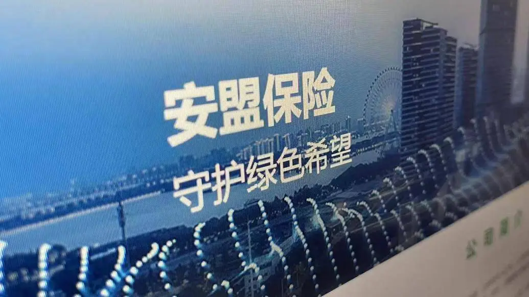 安盟财险再因数据问题被罚，多名责任人受牵连  第1张