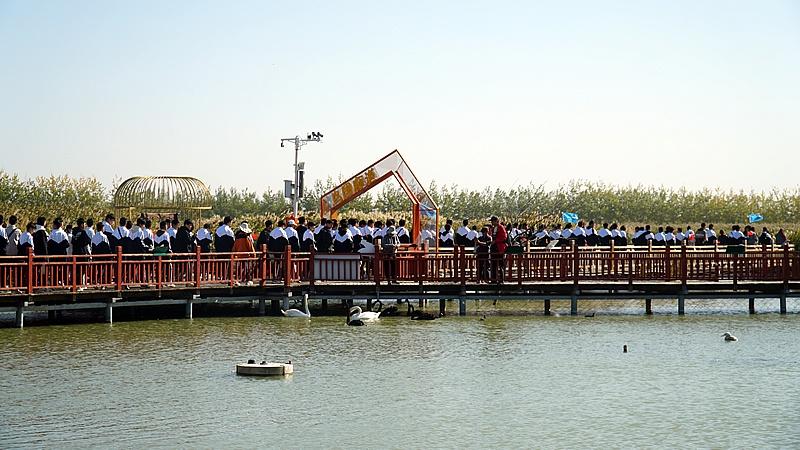 10 月 9 日，万名高校新生齐聚石嘴山，开启思政课之旅  第5张