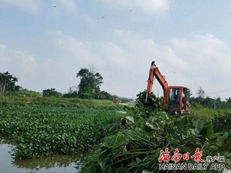 海南日报：3 台挖机齐上阵，一天清理 4.5 吨水浮莲，万城镇太阳河旧河道大变身  第1张