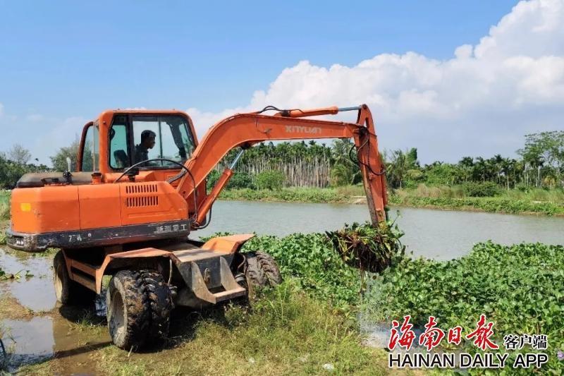 海南日报：3 台挖机齐上阵，一天清理 4.5 吨水浮莲，万城镇太阳河旧河道大变身  第2张