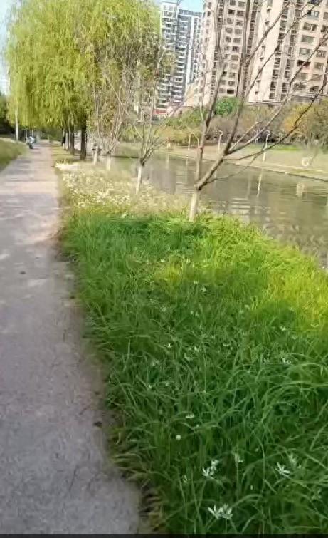 男子毫不犹豫跳河救人，被救者家人致电感谢，他却这样说……  第1张