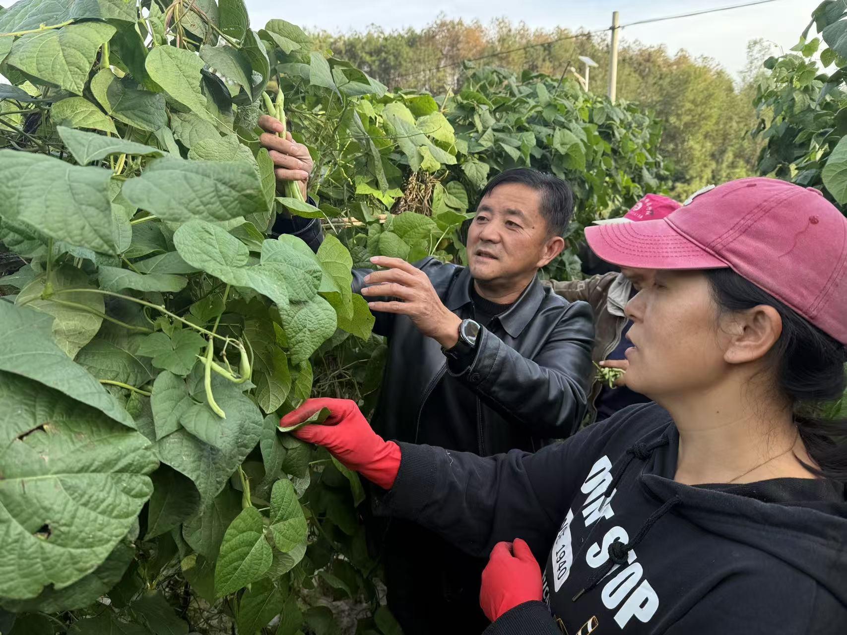 旌德县：四好农村路，让乡村因路而兴、因路而美、因路而富  第4张