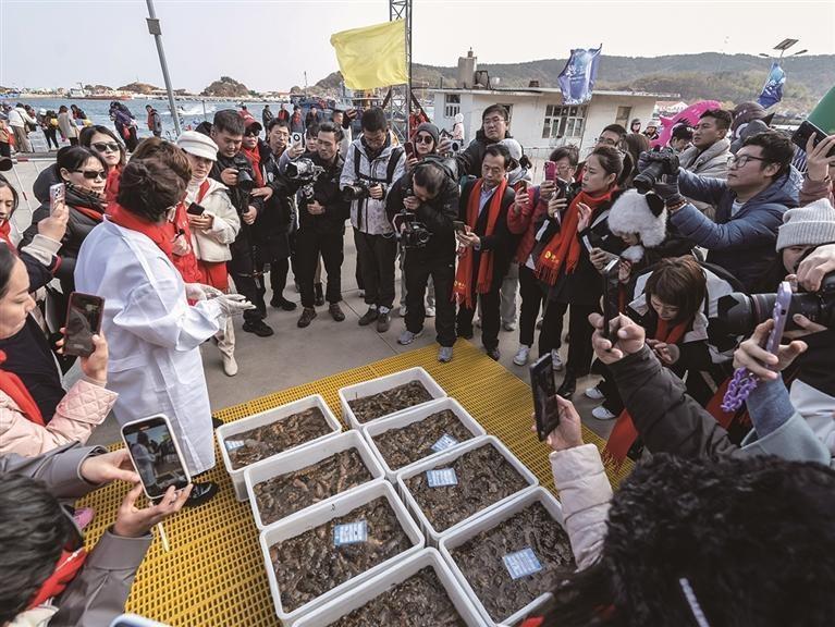 北纬 39°的獐子岛，野生海参冬捕节盛大启幕，你还不来看看？  第2张