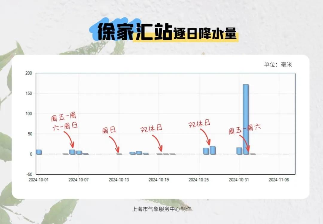 2024 年 11 月上海天气：双休日雨多风大，下周天气如何？  第3张