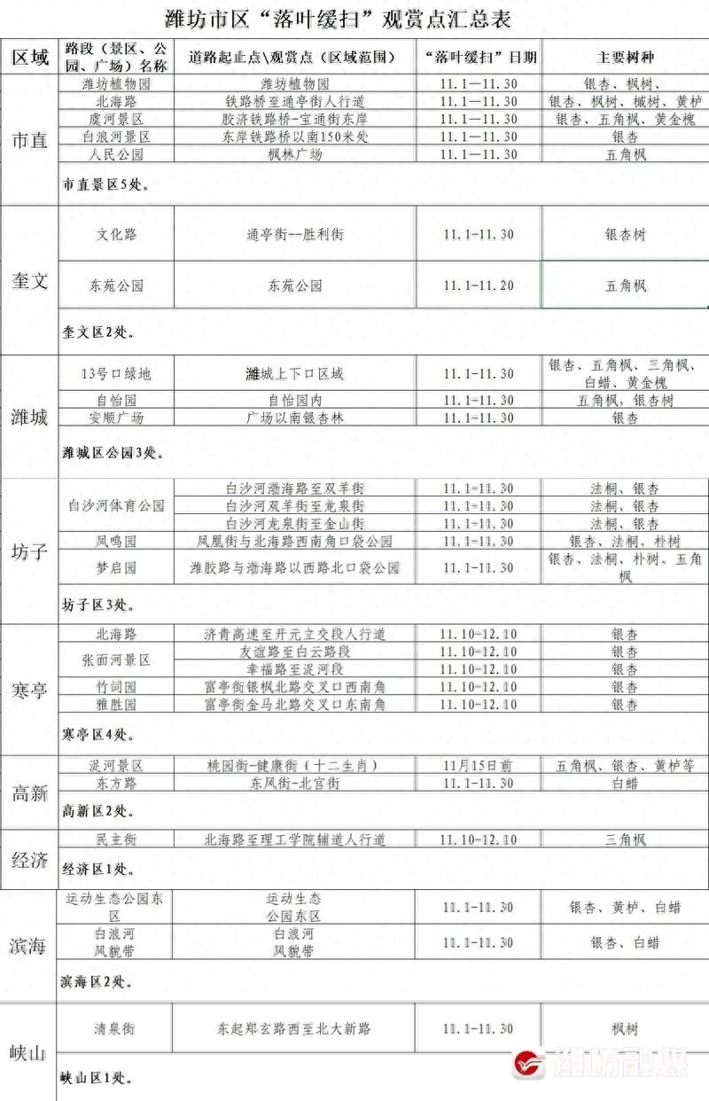潍坊城管局决定开展落叶缓扫活动，留住城市诗意美景