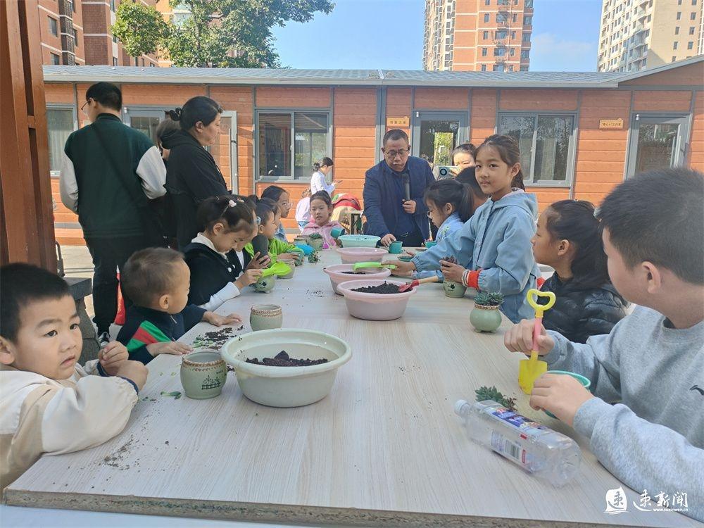 11 月 9 日，宿城区项里街道傅庄社区隆城香堤小区开展趣味多肉种植活动，你参加了吗？  第2张
