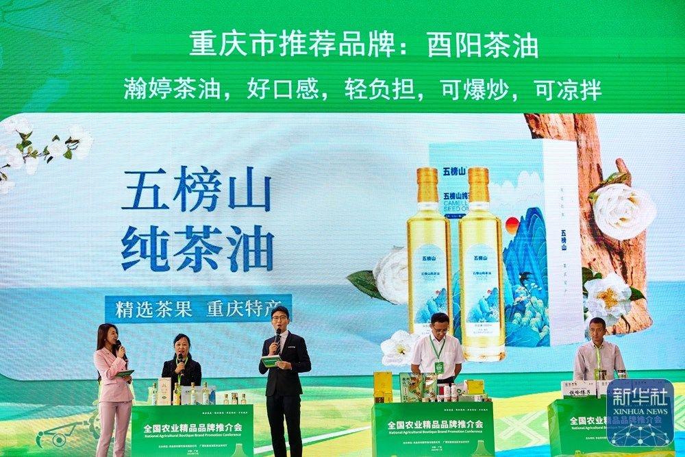 2024 年全国农业精品品牌推介会盛大举行，农业品牌精品培育计划助力乡村振兴  第8张
