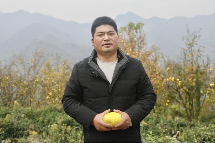 霜降过后，白河木瓜如何成为金果果？带你探秘背后的故事  第3张