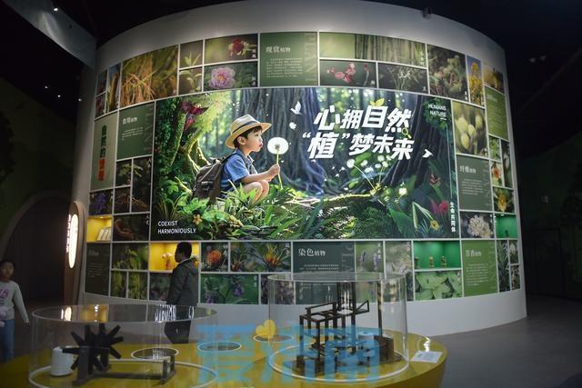 6888 平方米的植物园科普馆全面开放，600 余种植物等你来  第2张