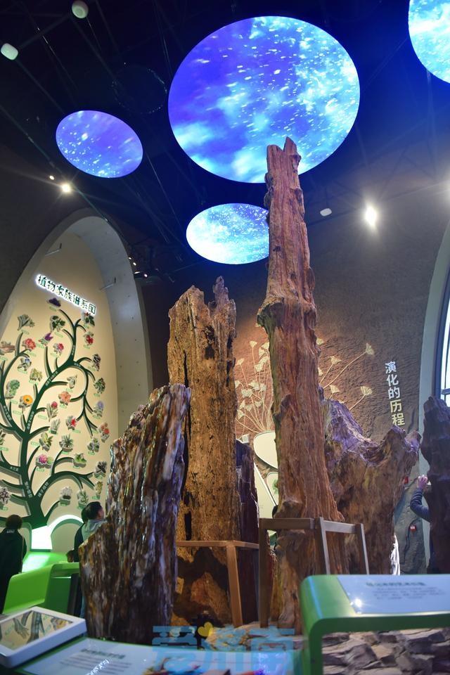 6888 平方米的植物园科普馆全面开放，600 余种植物等你来  第3张